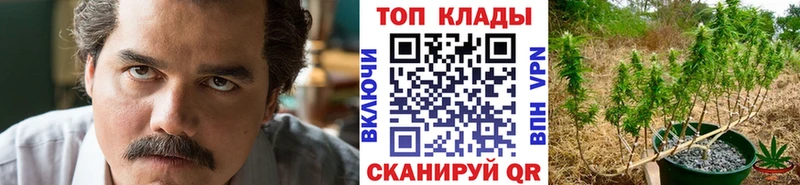 Цена Грязовец Конопля  MDMA  ГАШИШ  СК  Мефедрон  Кокаин 