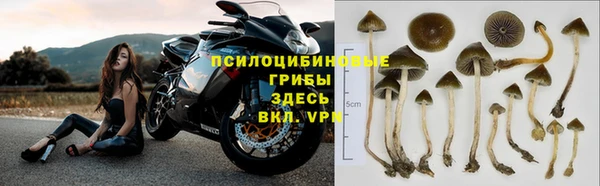 стафф Рославль