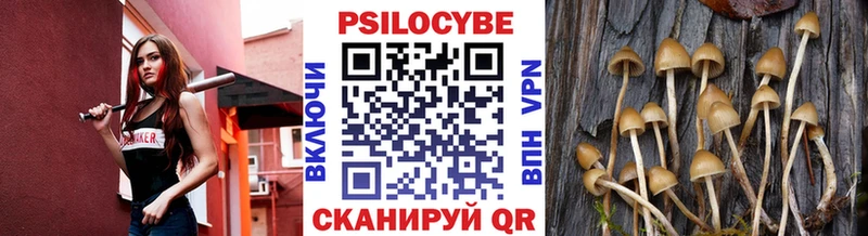 Псилоцибиновые грибы Psilocybine cubensis  ссылка на мегу ссылки  Грязовец 